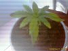 200804211759_634.jpg