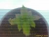 200804211800_636.jpg