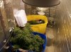 100_0571.jpg