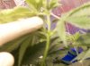 100_0581.jpg
