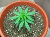 100_0859.jpg