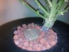 Photo0840.jpg