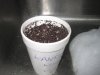 kk cup.jpg