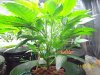 103_1818.jpg 103_1818.jpg