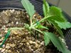 Day 6 LST 30 Oct (6).jpg