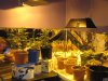flower room.JPG
