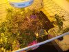 The Grow II (12).jpg