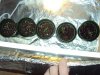 DSC01186.jpg