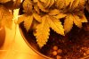 IMG_4786_cleaned.jpg