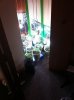 IMG_0192.jpg