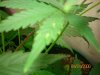 100_0116.jpg