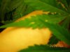 100_0118.jpg