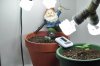 lights_11_12.jpg lights_11_12.jpg