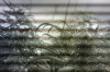 IMAG0038.jpg