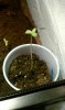 IMAG0216.jpg