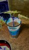 IMAG0222.jpg