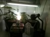 IMG_0178.jpg IMG_0178.jpg