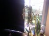Photo 33.jpg