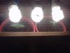 IMG00116-20101117-1229.jpg