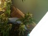 IMG_0075.jpg IMG_0075.jpg