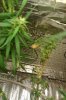 IMAG0623.jpg