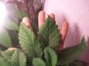 106_4962.jpg