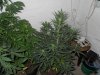 DSCN0247.JPG