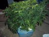 100_0406.jpg