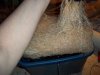 100_0401.jpg