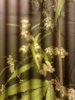 20112010243.jpg