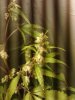 20112010244.jpg