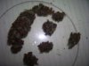 100_0481.jpg
