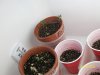 100_1157.jpg