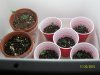 100_1166.jpg
