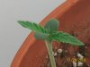 100_1170.jpg