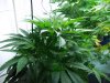 100_0421.jpg