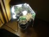 G13 LST.jpg
