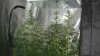 DSC02535.jpg