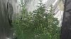 DSC02534.jpg