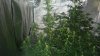 DSC02536.jpg