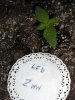 LED2.jpg