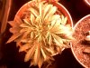 DSCF0009.jpg