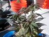 112810_1344[01].jpeg
