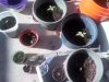 112810_1344[02].jpeg