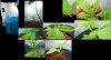 100_2685.jpg