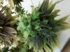 420 218.jpg