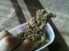 420 228.jpg