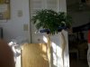 420 234.jpg