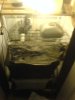 DSC00445.jpg