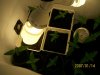 Day 8 veg..jpg